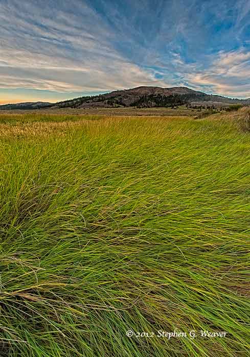 Missouri River floodplain grass, Charles Russell NWR
